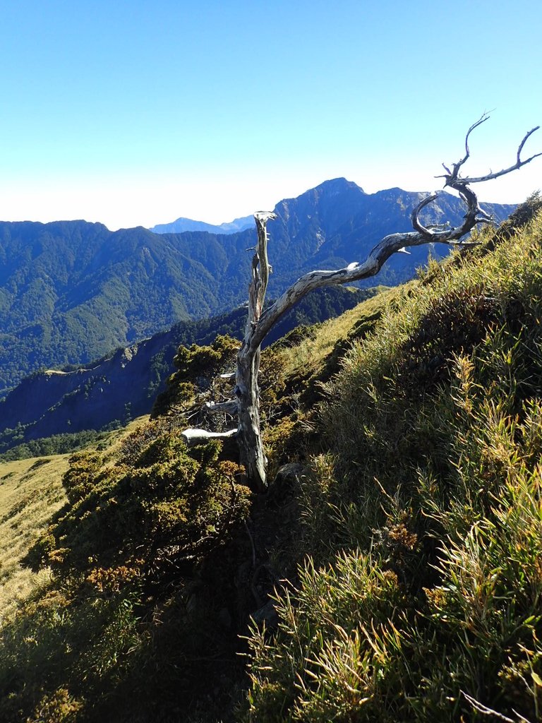 PC132113.JPG - 合歡山  東峰