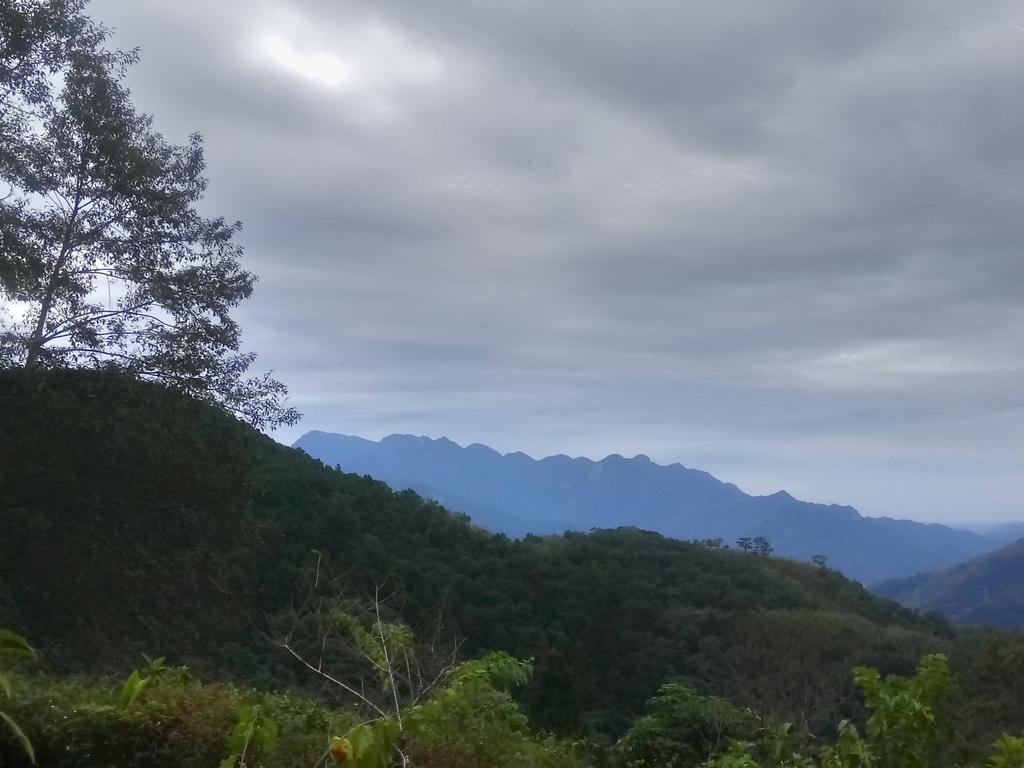 DSC_9045.JPG - 復興  東眼山森林步道