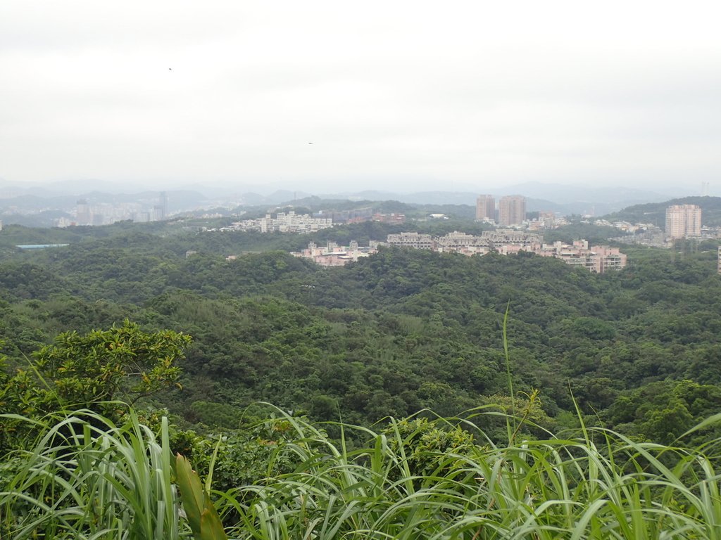 P4143576.JPG - 基隆  五坑山  總督嶺步道