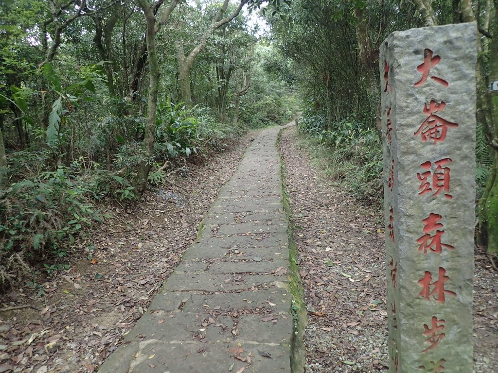 P2288687.JPG - 內湖  大崙頭山