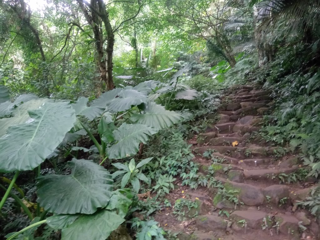 DSC_4864.JPG - 大溪  溪洲山登山步道