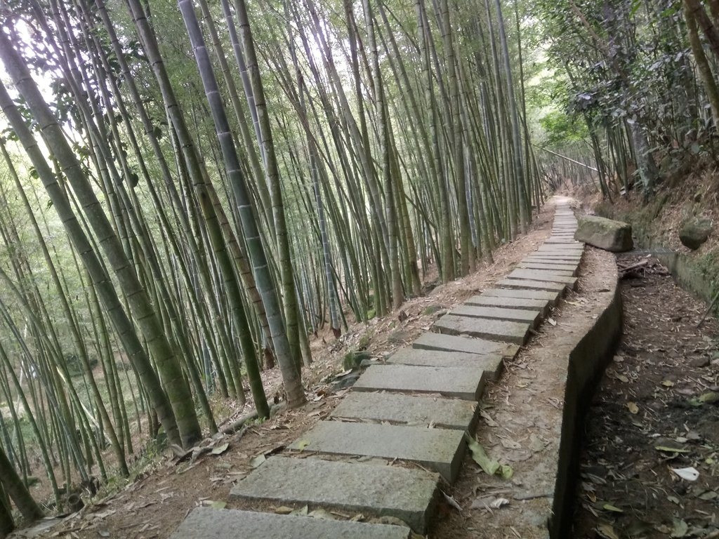 DSC_0558.JPG - 鹿谷  長源圳古道