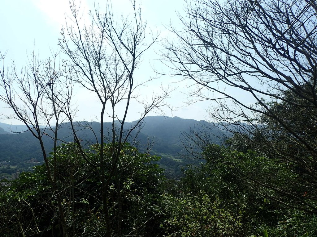 P3018804.JPG - 深坑  土庫岳登山步道  (02)