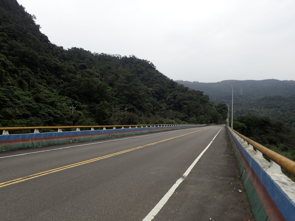 P3160193.JPG - 汐止  金面山(金明山)  稜線步道