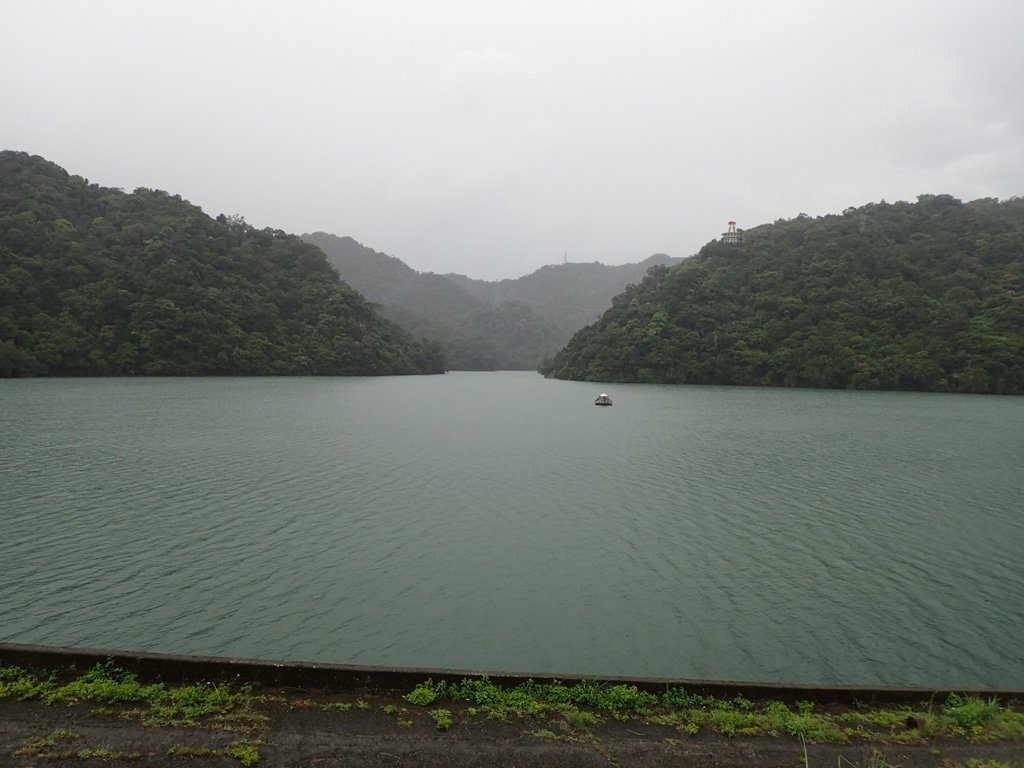 P8247013.JPG - 雨中漫遊  石門水庫