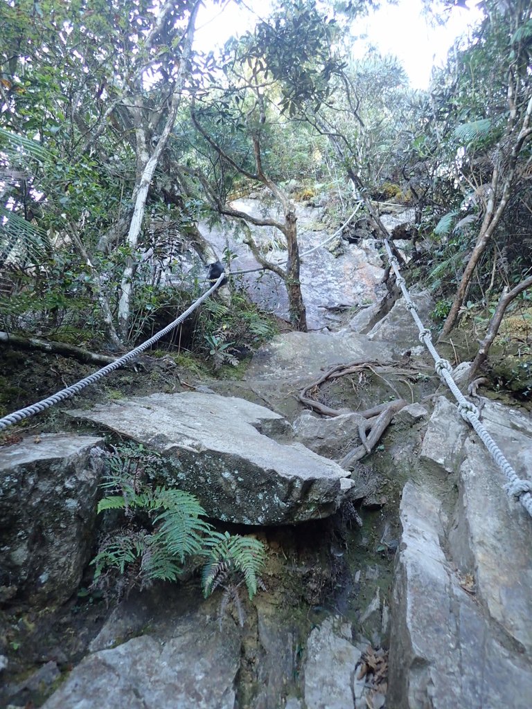 PA185564.JPG - 再訪---  台中  和平  鳶嘴山