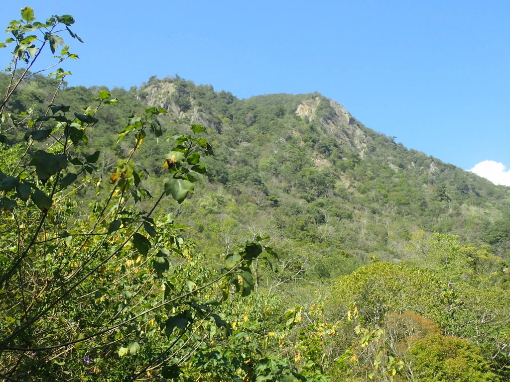 P2275988.JPG - 太平  暗影山(酒桶山)