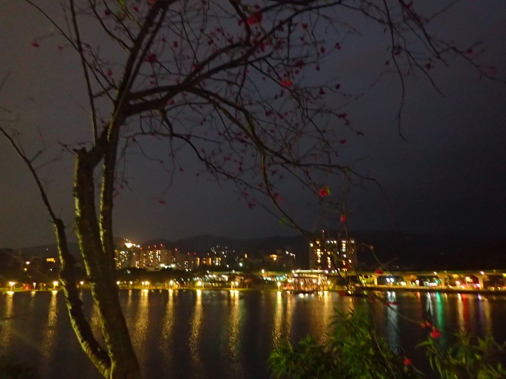 P3116960.JPG - 內湖  大湖公園之夜色