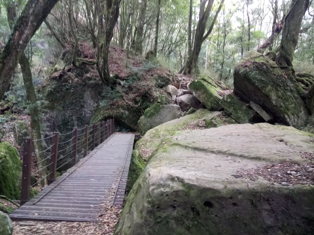 DSC_3738.JPG - 南庄  加里山