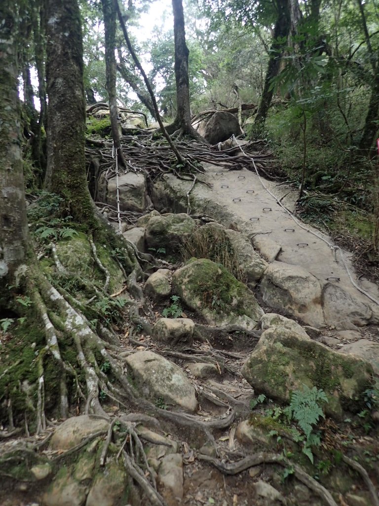 P2034936.JPG - 南庄  加里山