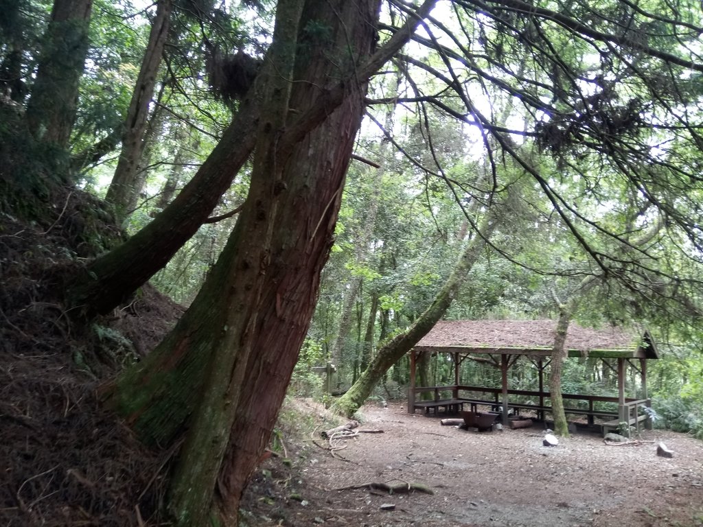 DSC_9984.JPG - 谷關七雄之  馬崙山  (下)