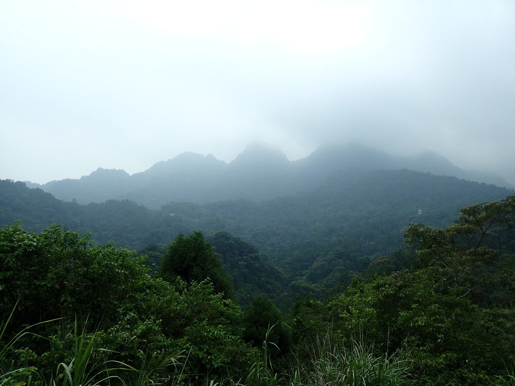 P9108364.JPG - 新竹  五指山登山步道