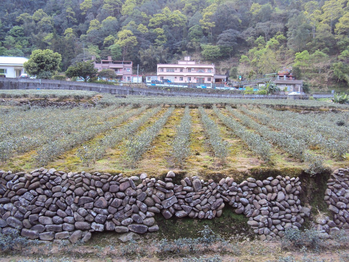 DSC03992.JPG - 坪林  金瓜寮  陳家古厝