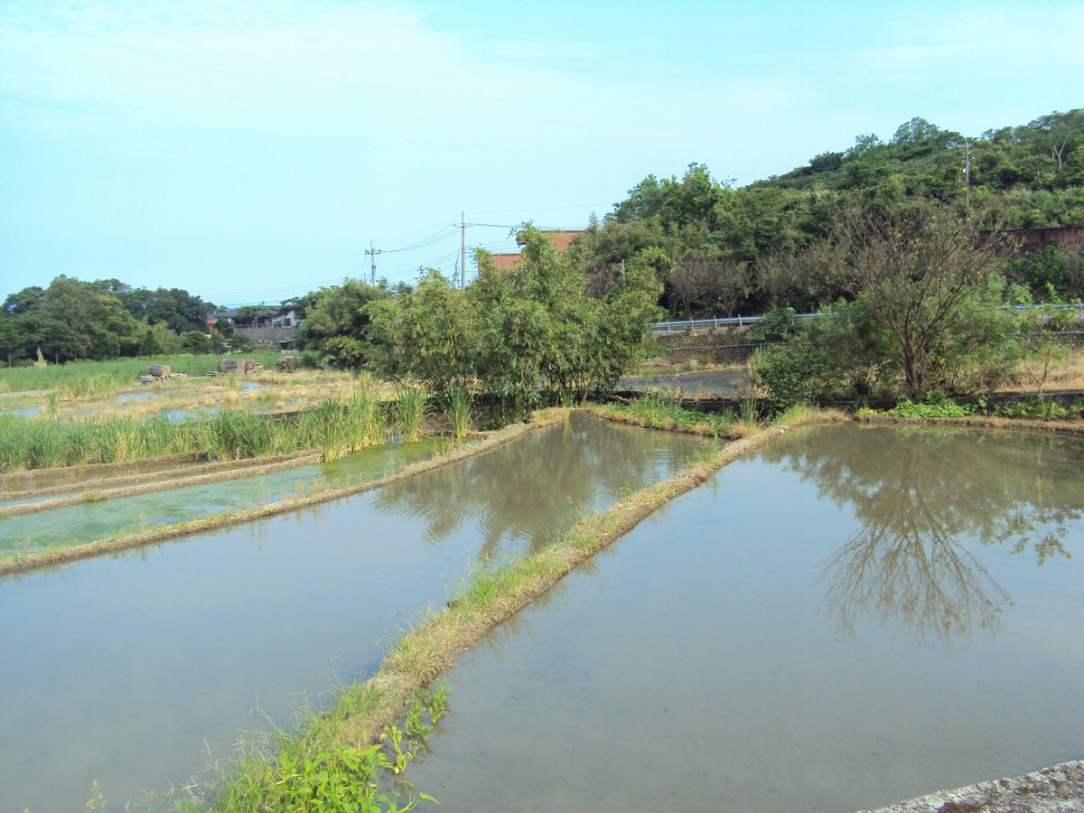 DSC09007.JPG - 金山  葵扇湖田野風光(一)