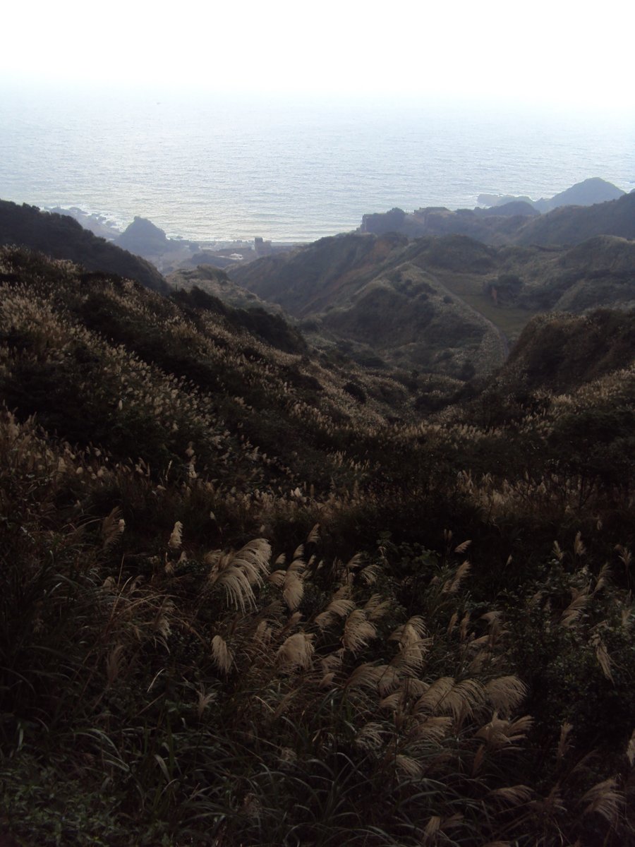 DSC03276.JPG - 報時山步道