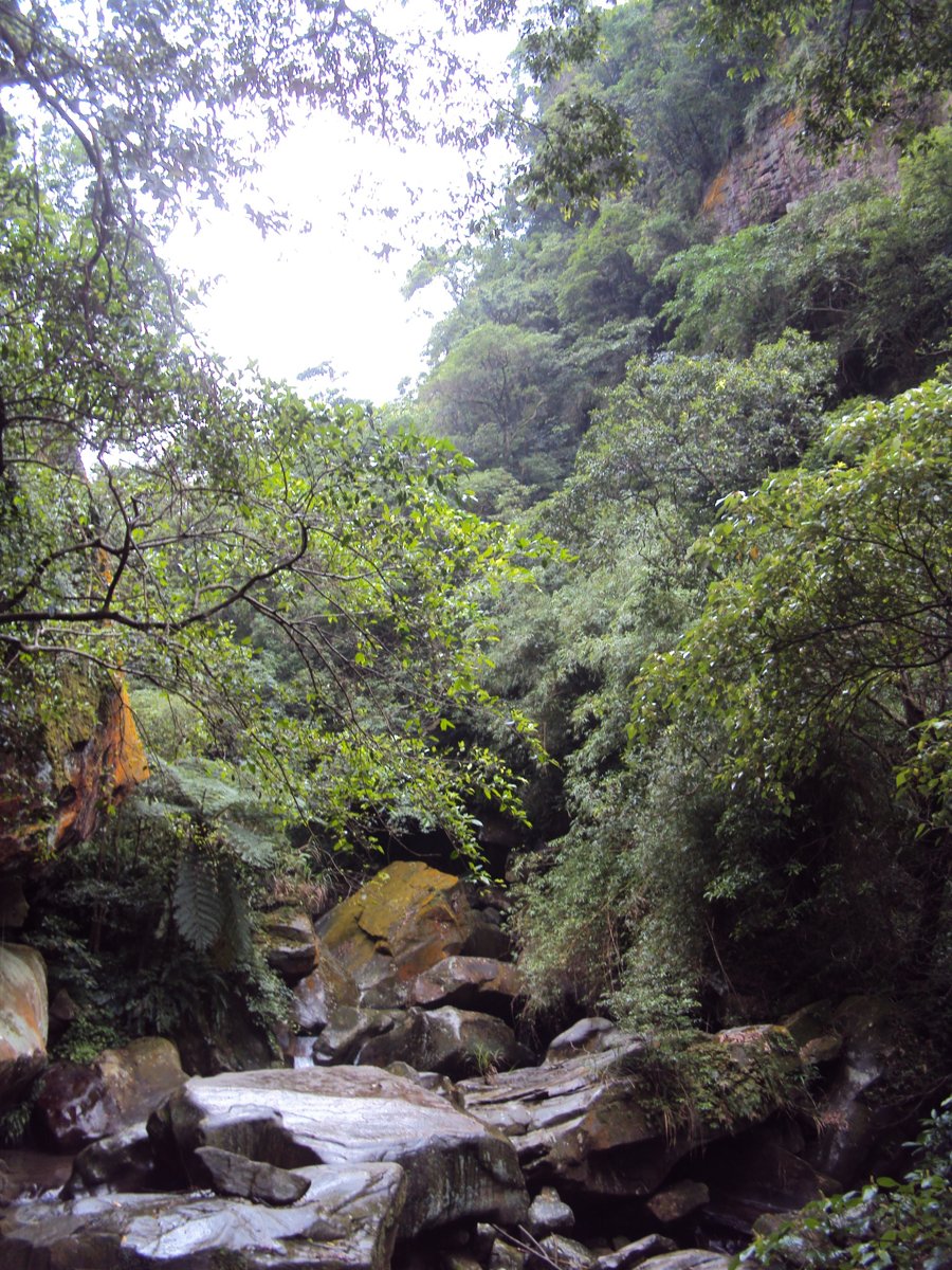 DSC07579.JPG - 基隆  暖東峽谷步道