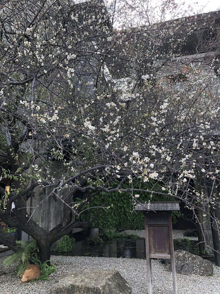 IMG_0118.JPG - 再訪  大里  菩薩寺