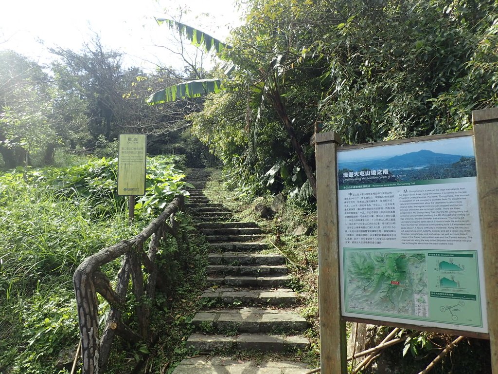 PB247204.JPG - 北投  中正山登山步道  02