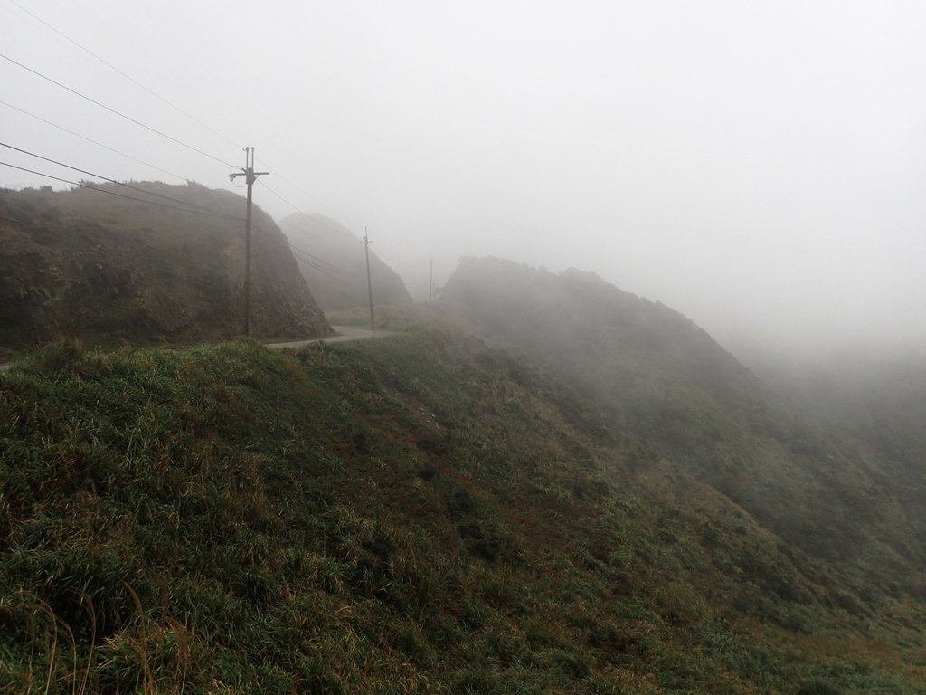 P1203574.JPG - 瑞芳  牡丹山