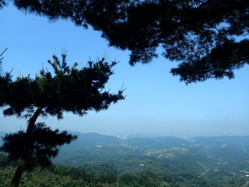 P5117182.JPG - 大坑四號步道  頭嵙山