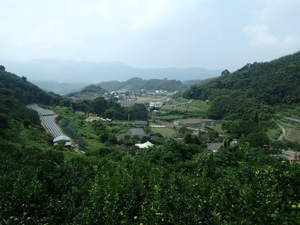 PA064504.JPG - 大湖  馬那邦山  (03)