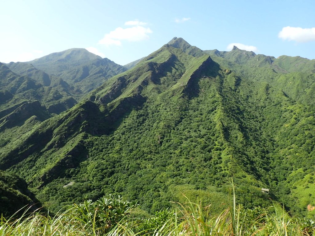 PA104820.JPG - 秋晴  南子吝山  登龍尾坪