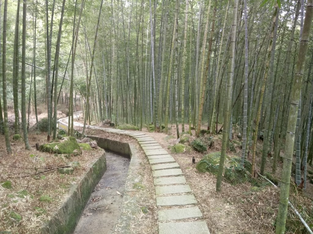 DSC_0562.JPG - 鹿谷  長源圳古道
