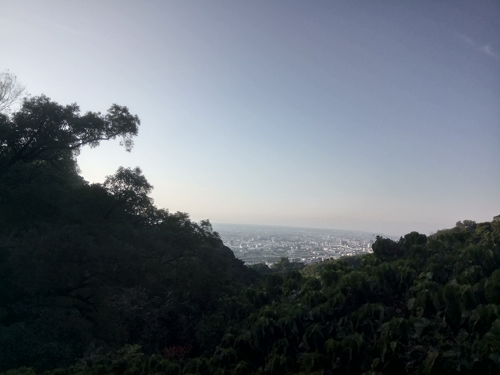 DSC_0689.JPG - 潭子 聚興山  新田登山步道