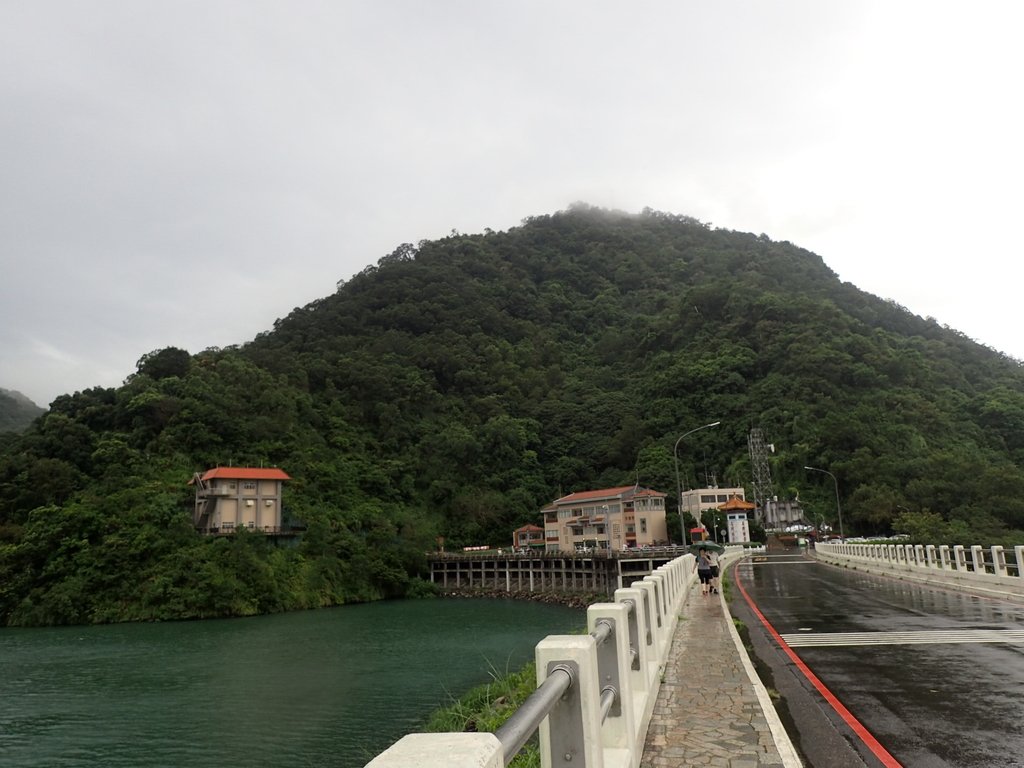 P8247016.JPG - 雨中漫遊  石門水庫