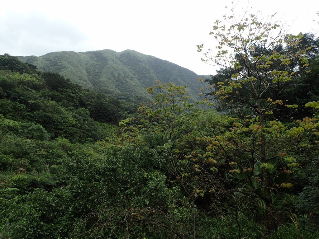 P3240610.JPG - 金瓜石之  外九份溪圳橋