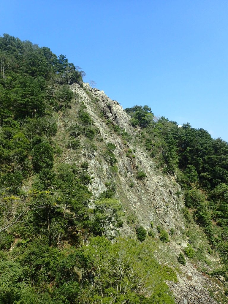 P3167356.JPG - 谷關七雄之  屋我尾山