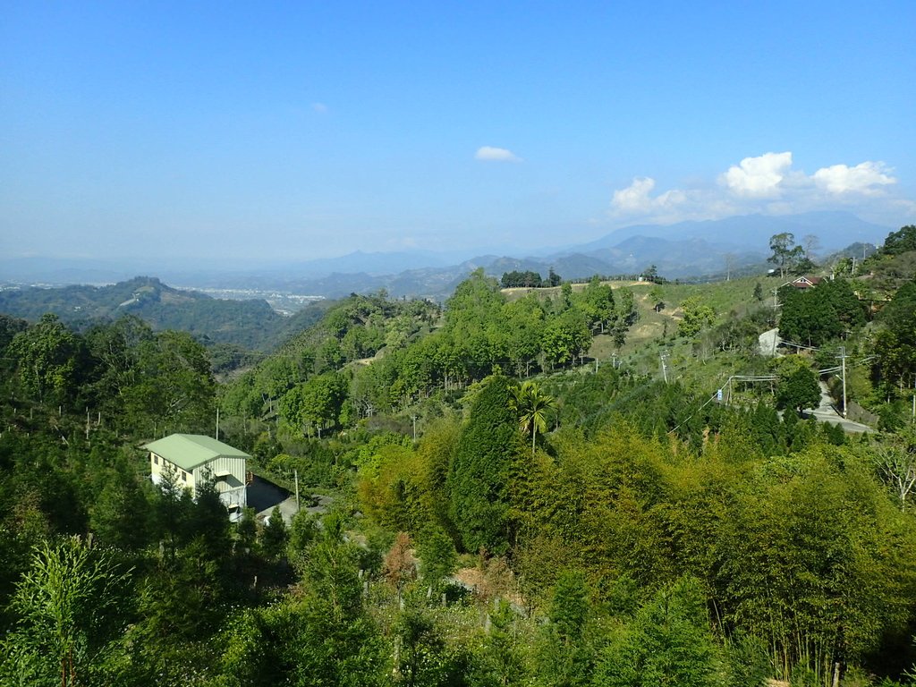 P2275995.JPG - 太平  暗影山(酒桶山)