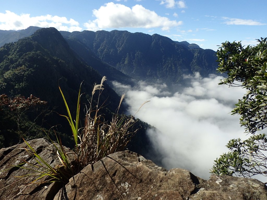 PC055907.JPG - 鹿谷  溪頭  南鳳凰山