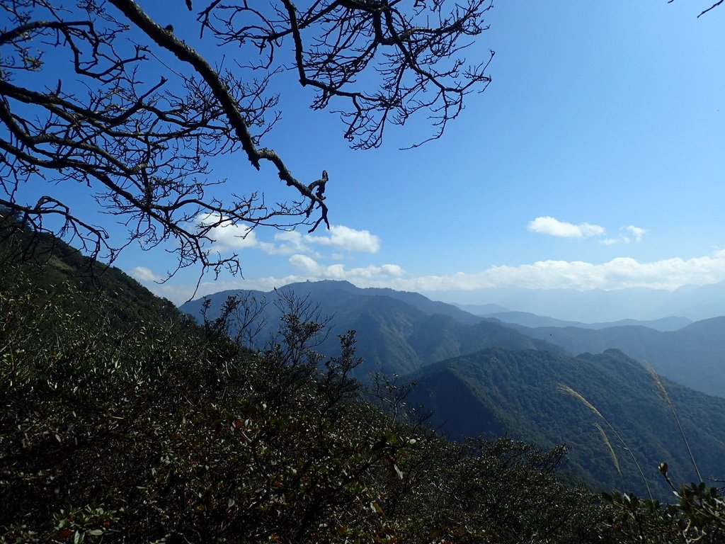 P2034808.JPG - 南庄  加里山