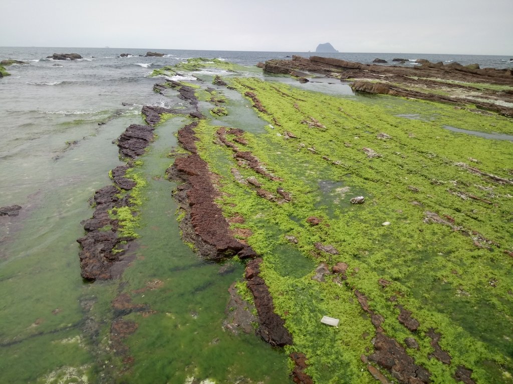 DSC_8016.JPG - 萬里  拳頭石海岸