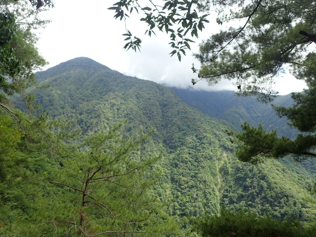 P6054121.JPG - 谷關七雄之  馬崙山  (上)