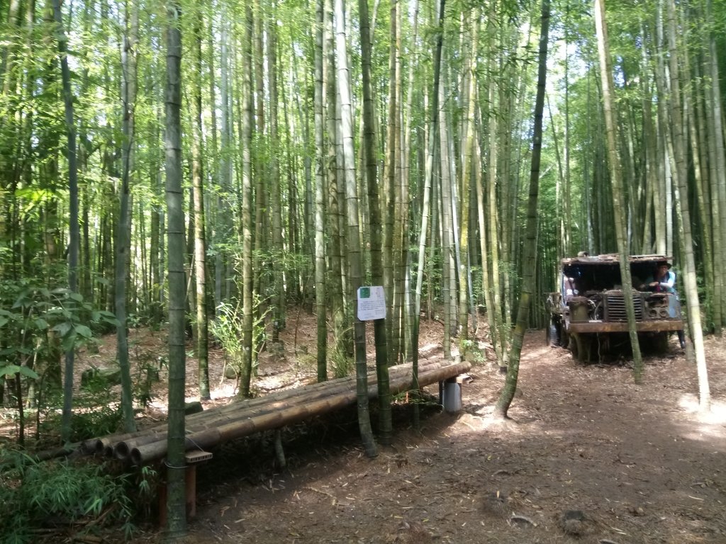 DSC_5236.JPG - 台中和平  長壽山登山步道  (中)