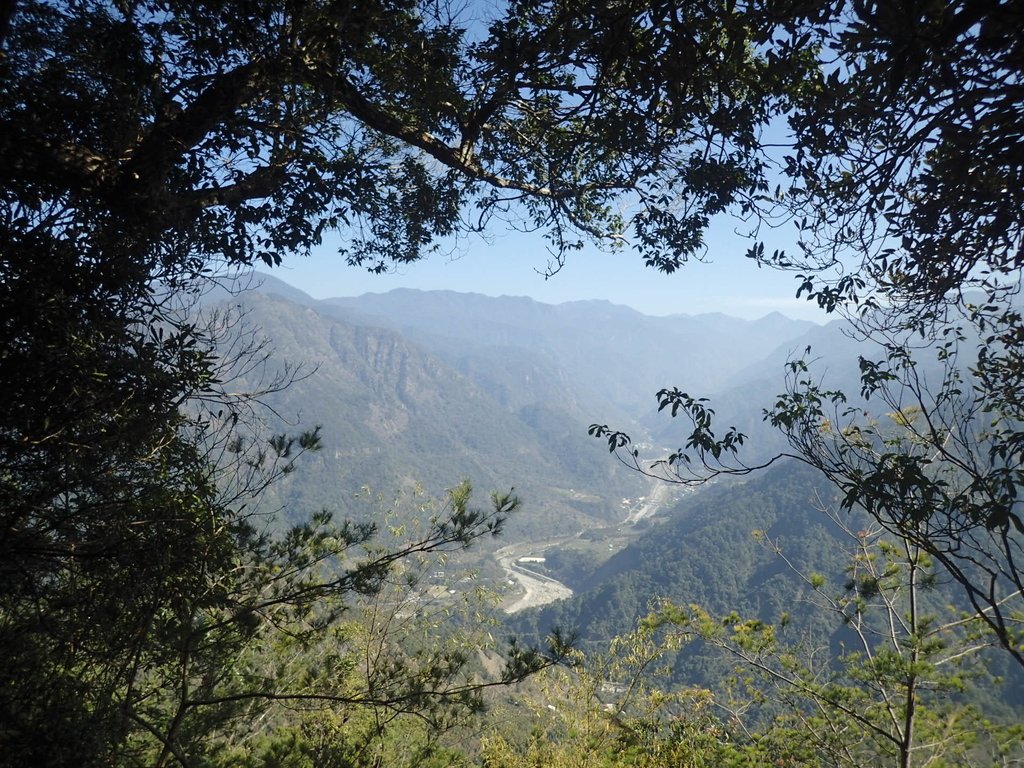 P2216678.JPG - 谷關  阿冷山步道