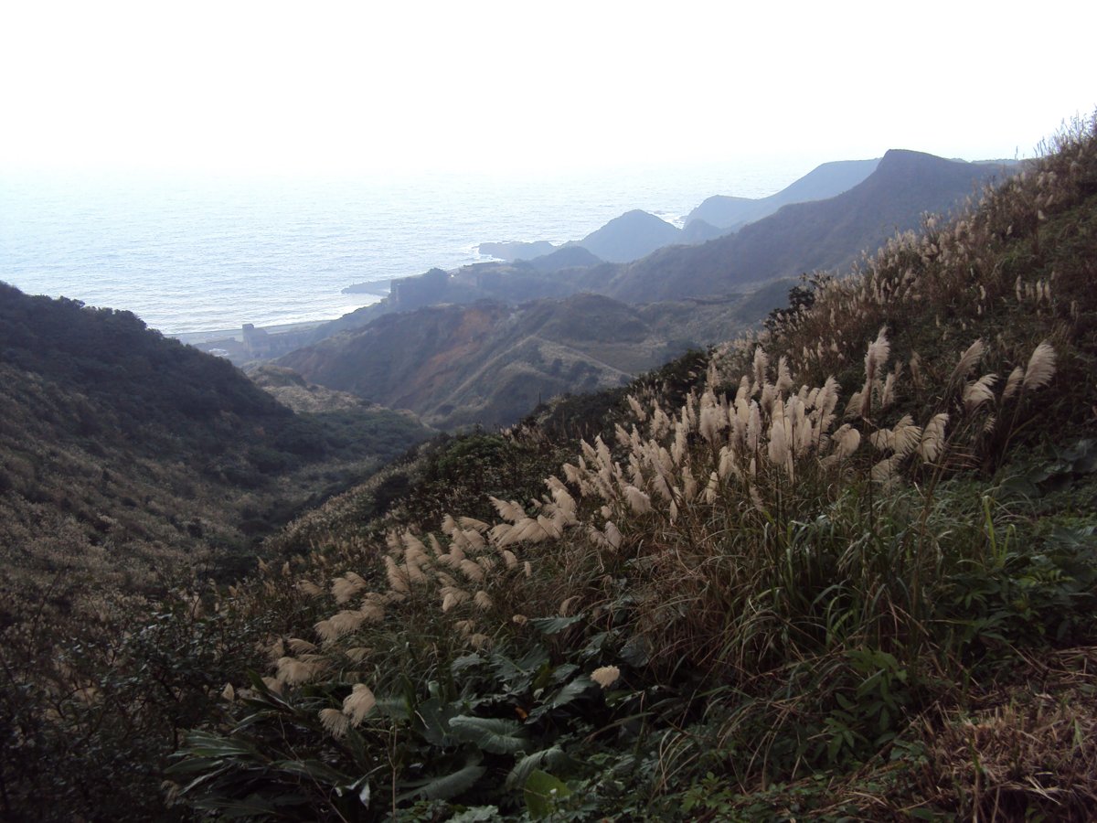 DSC03281.JPG - 報時山步道