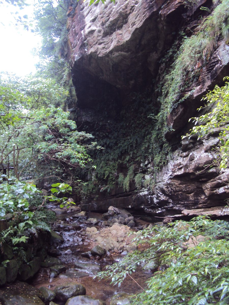 DSC07580.JPG - 基隆  暖東峽谷步道