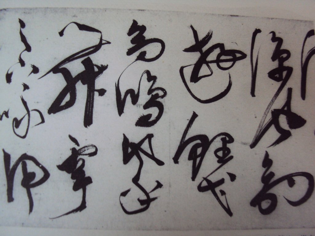 DSC00249.JPG - 陳淳的草書作品