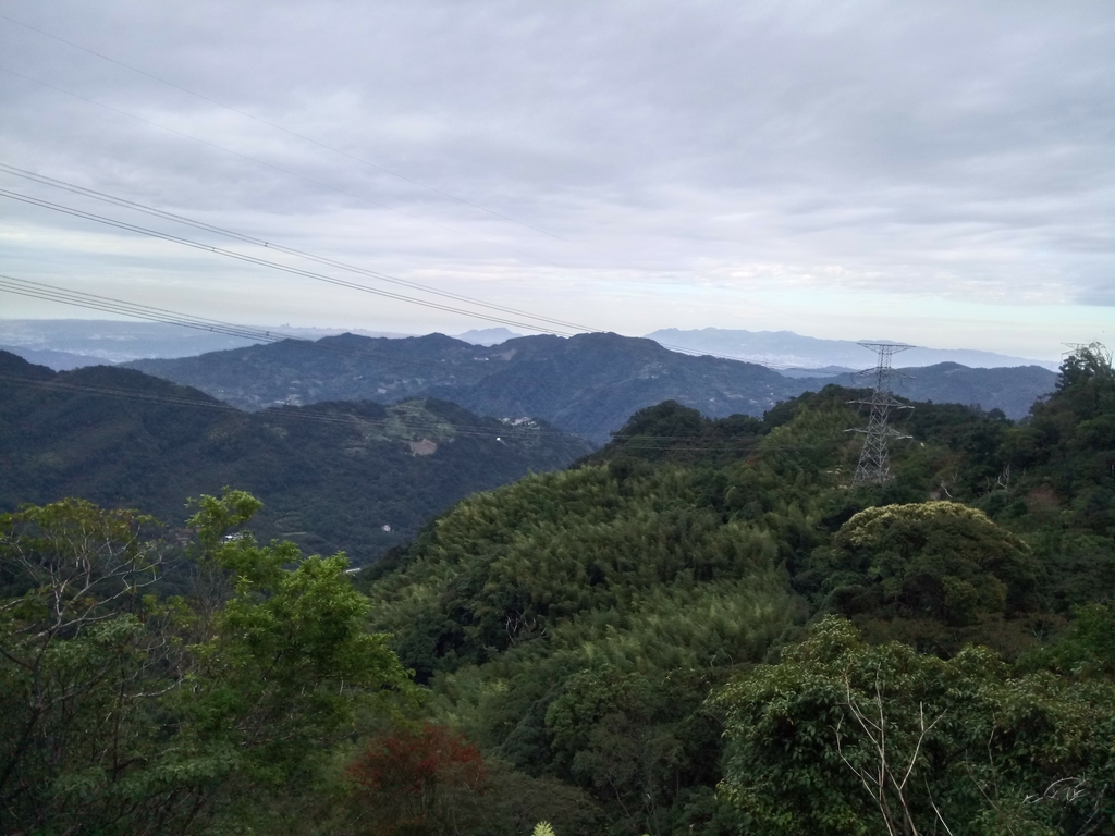 DSC_9047.JPG - 復興  東眼山森林步道