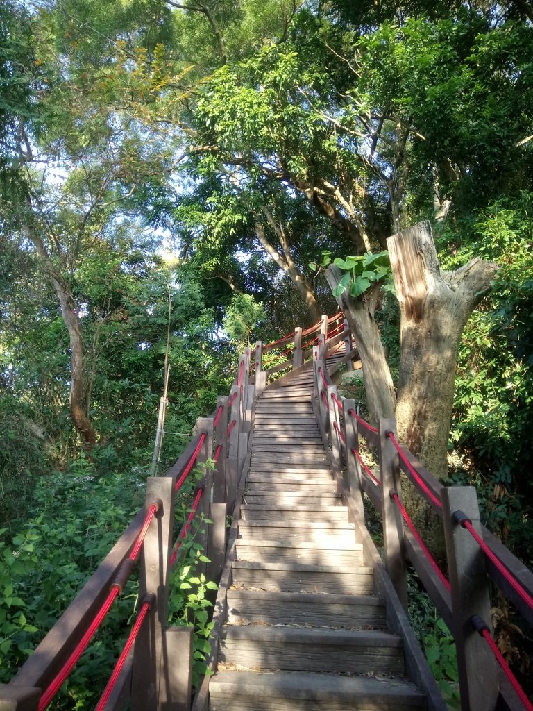 DSC_0690.JPG - 潭子 聚興山  新田登山步道