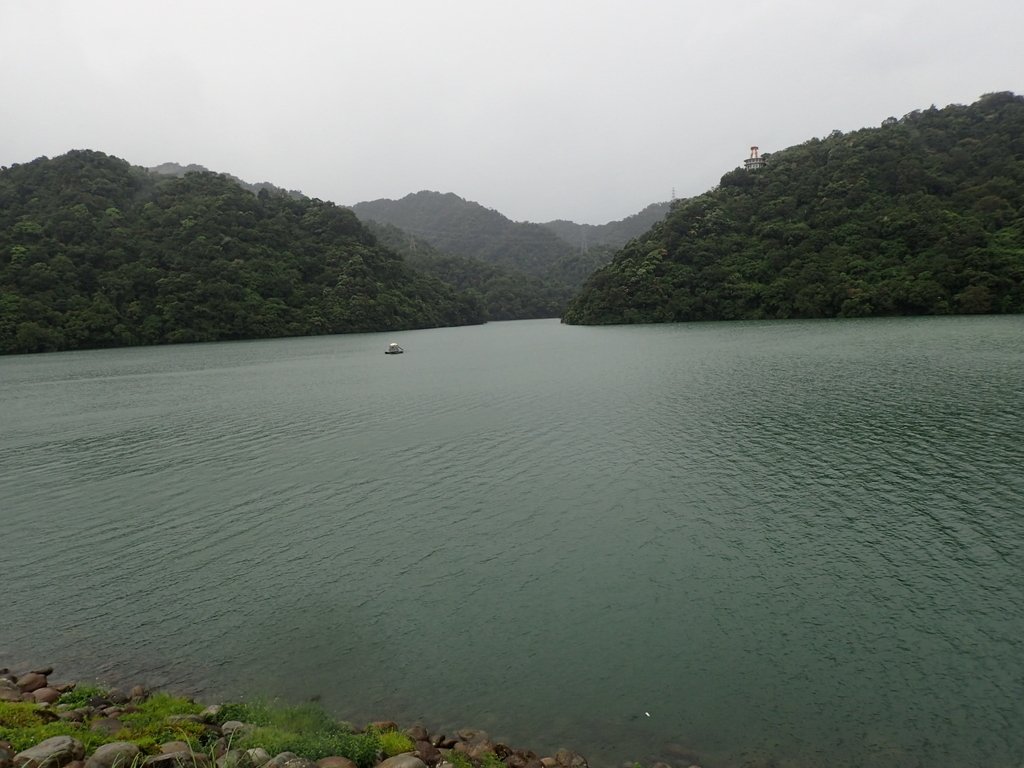 P8247017.JPG - 雨中漫遊  石門水庫