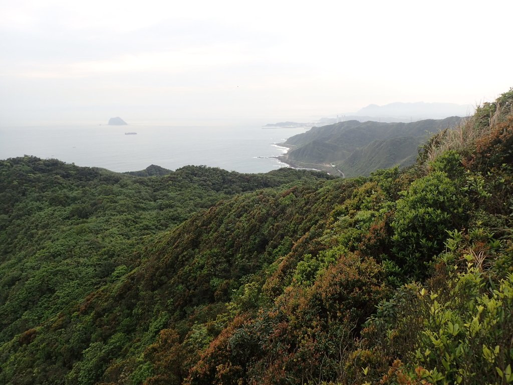 P3308215.JPG - 萬里  瑪鋉山  (望洋崖)