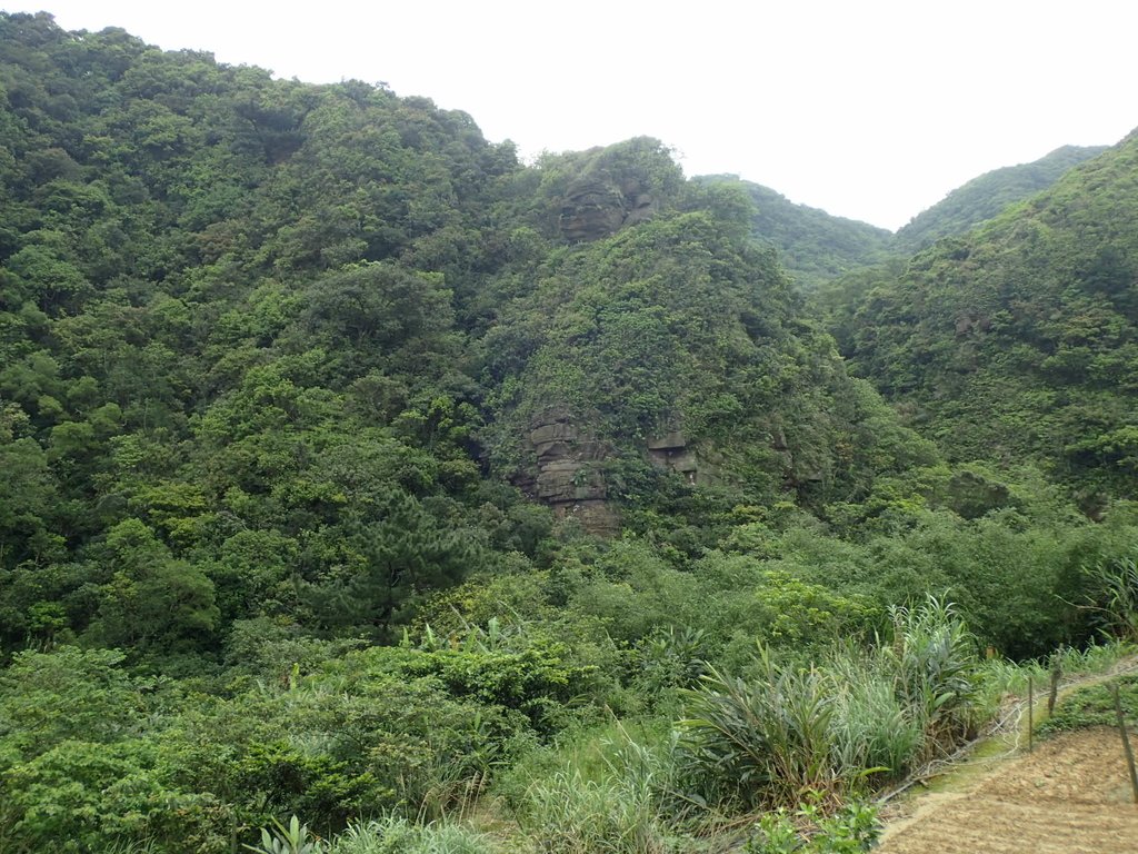 P3308260.JPG - 萬里  大路嶺古道行