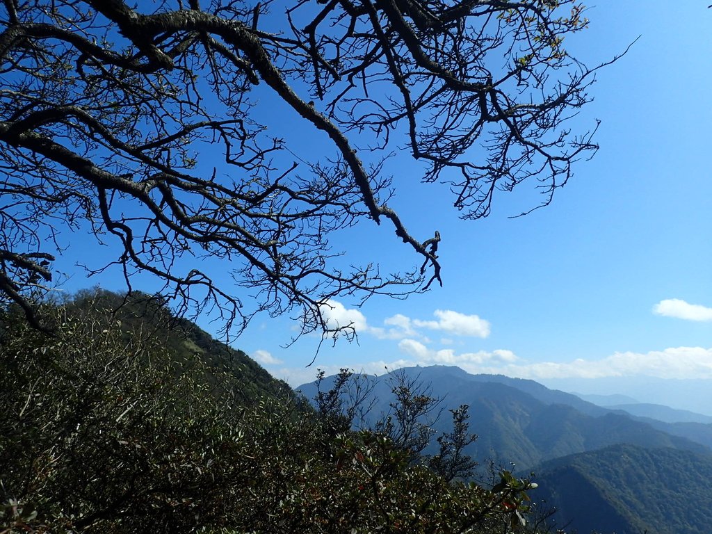 P2034809.JPG - 南庄  加里山