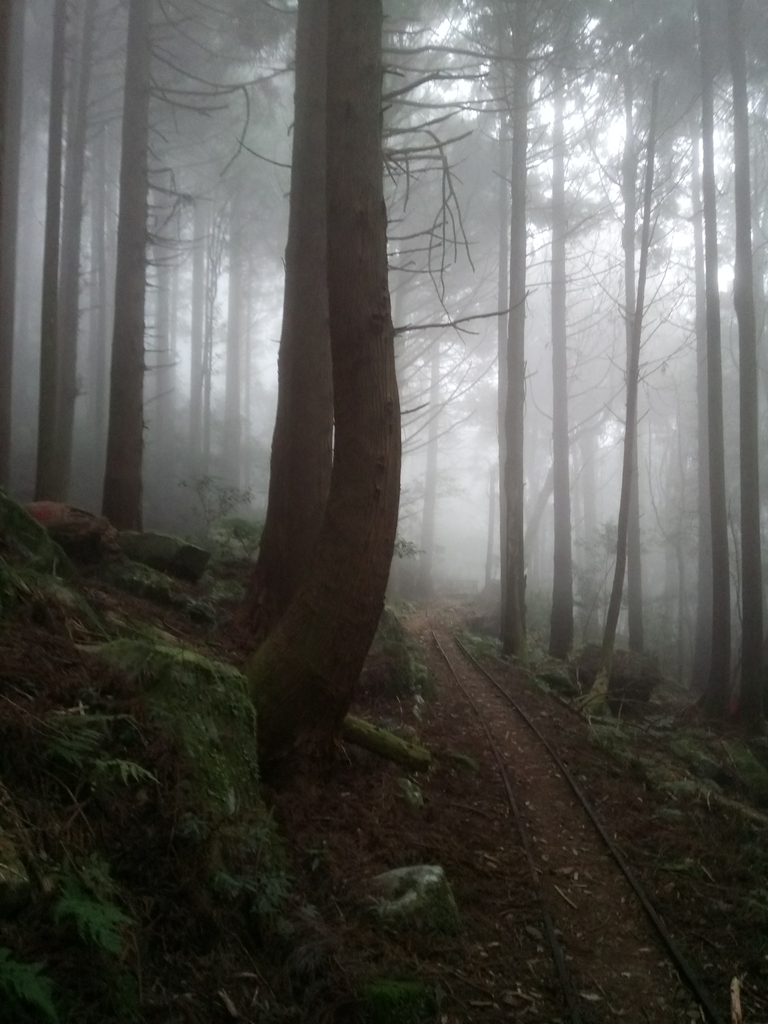 DSC_3784.JPG - 南庄  加里山  森林鐵道