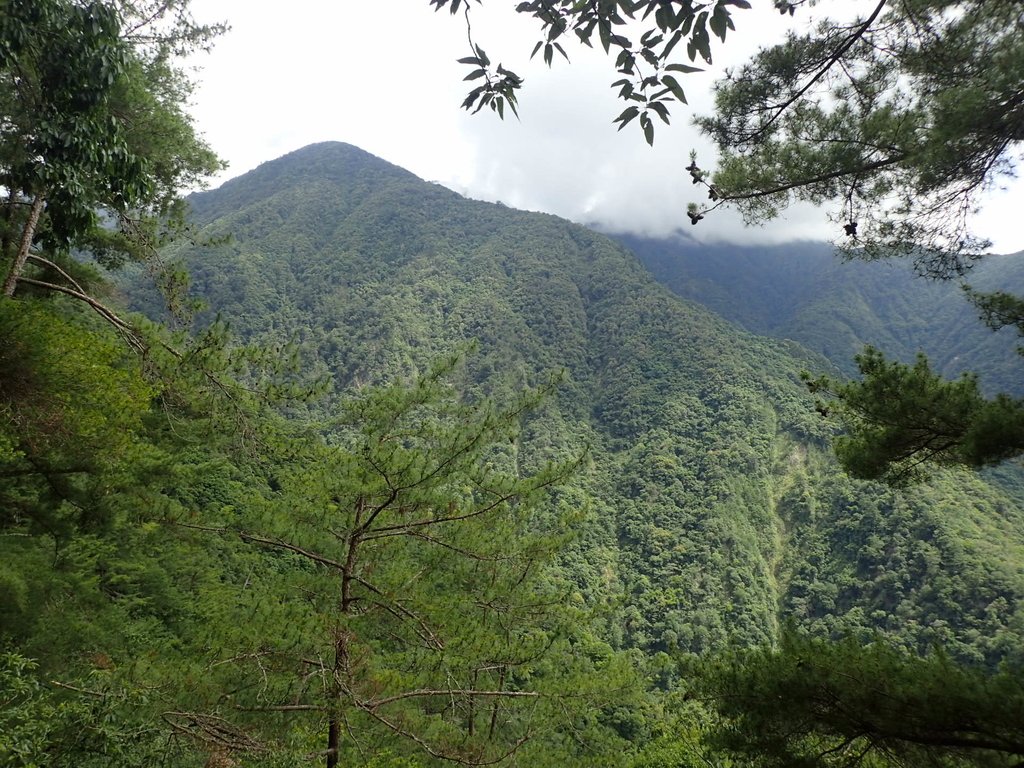 P6054122.JPG - 谷關七雄之  馬崙山  (上)