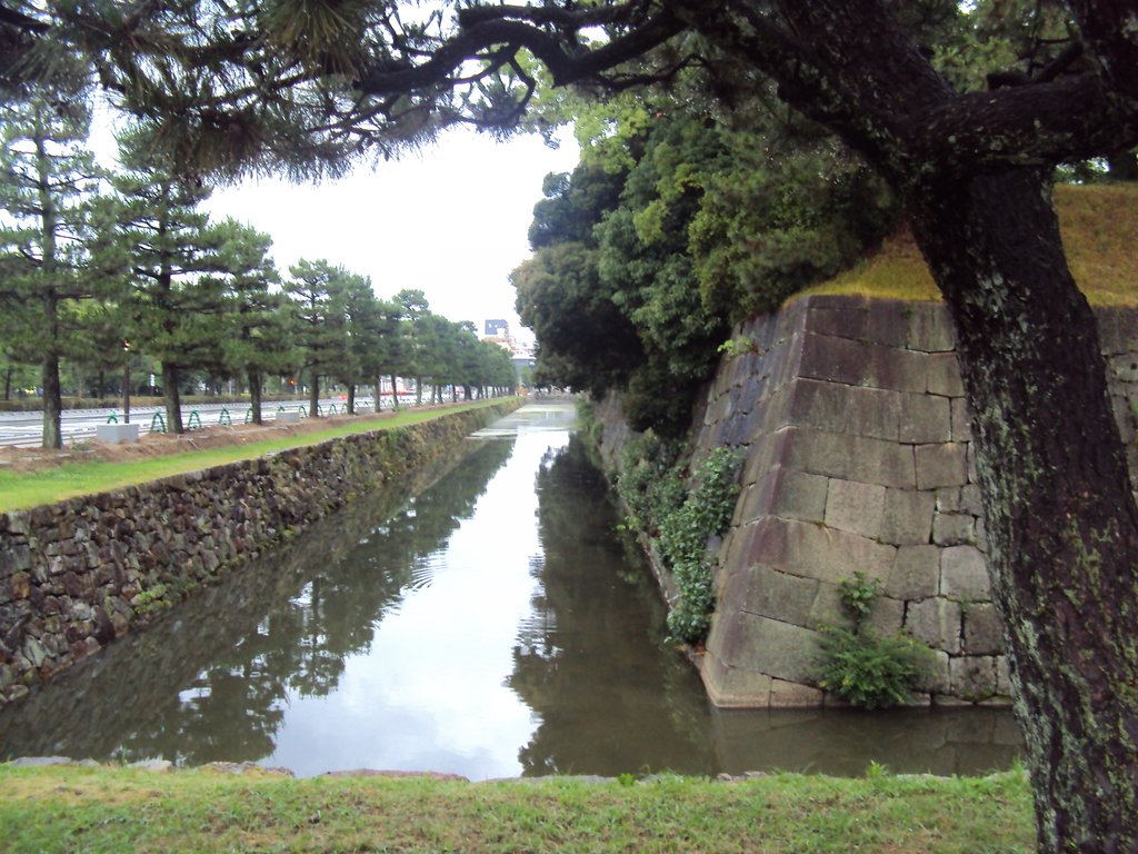 DSC02579.JPG - 晨雨中的  二條城